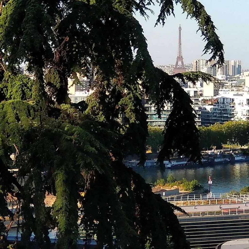 FALSO: Torre Eiffel iluminada en homenaje a Carlos Cruz-Diez