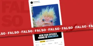 Es falso venezuela fue descubierta esta nueva especie pez